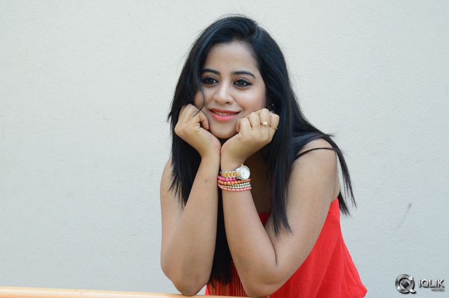 Swathi-Deekshith-at-Ladies-and-Gentlemen-Movie-Success-Meet